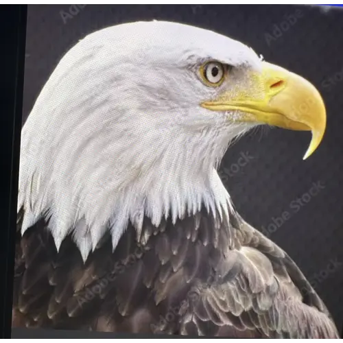 Eagle Cleaning Concepts